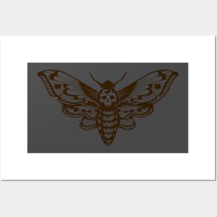 Death's-Head Hawkmoth Posters and Art